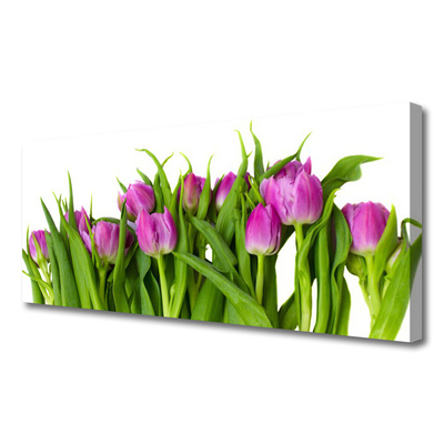 Obraz na Płótnie Tulipany Kwiaty Roślina