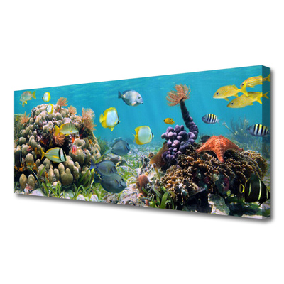 Obraz na płótnie Podwodny Świat Oceanu