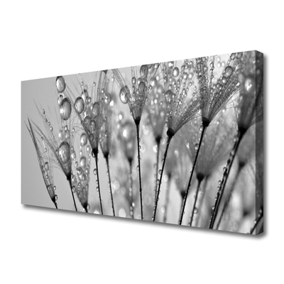 Obraz na płótnie Ulotność Mniszka Lekarskiego