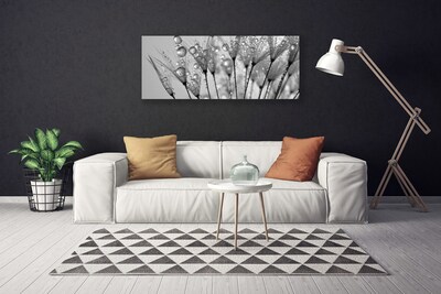 Obraz na płótnie Ulotność Mniszka Lekarskiego