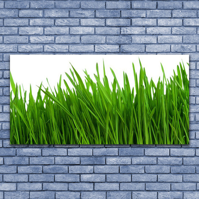 Obraz na płótnie Poranna Rosa na Trawie