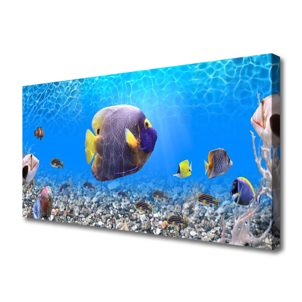 Zdjęcie na płótnie Złota Rybka w Tonii