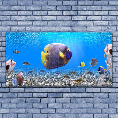 Zdjęcie na płótnie Złota Rybka w Tonii