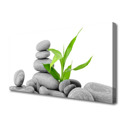 Zdjęcie na płótnie Kompozycja Kamieni i Liści