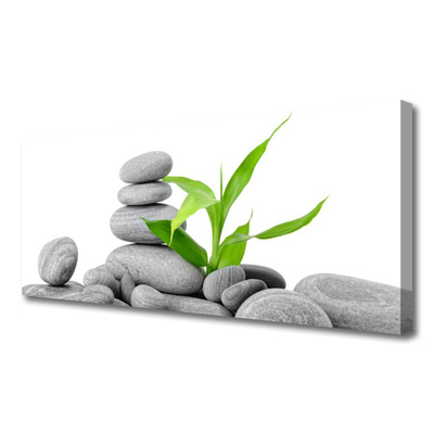 Zdjęcie na płótnie Kompozycja Kamieni i Liści