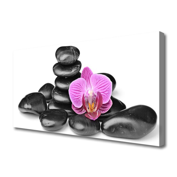 Obraz na płótnie Układ Kamieni z Akcentem Kwiatowym