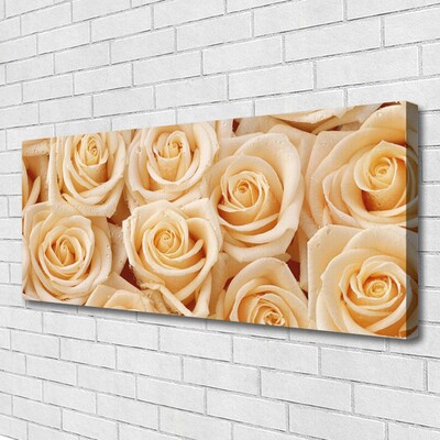 Zdjęcie na płótnie Aksamitne Róże w Pąkach