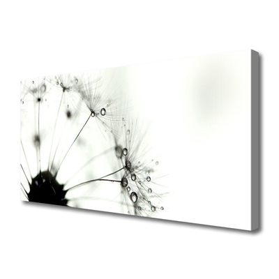 Obraz na płótnie Puszysta Kula Mniszka