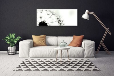 Obraz na płótnie Puszysta Kula Mniszka