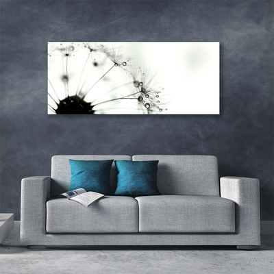 Obraz na płótnie Puszysta Kula Mniszka