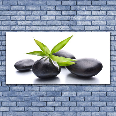 Obraz na płótnie Duet Kamienia i Liścia