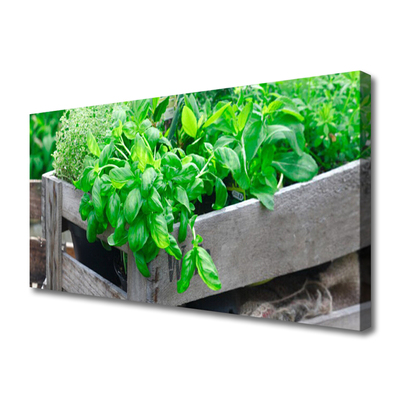 Obraz na płótnie Botaniczny Splot Liści