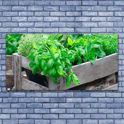 Obraz na płótnie Botaniczny Splot Liści