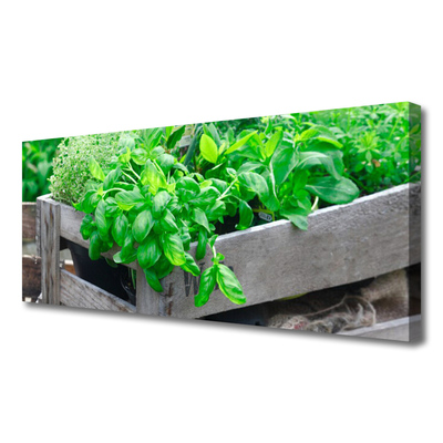 Obraz na płótnie Botaniczny Splot Liści