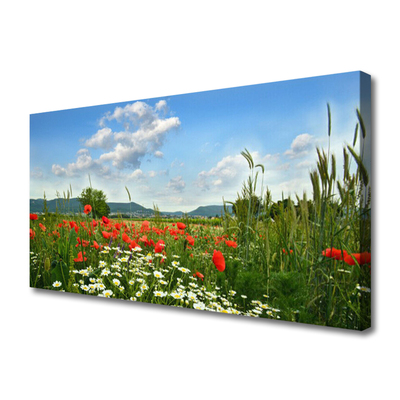 Obraz canvas Sielska Polana Kwiatowa