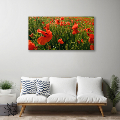 Obraz canvas Maki w Porannej Rosie