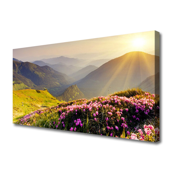 Obraz canvas na ścianę Panorama Górskiej Hali