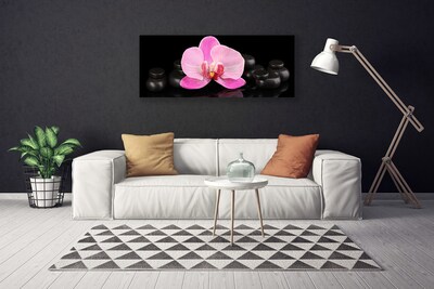 Obraz canvas Równowaga Natury: Kwiat i Kamień