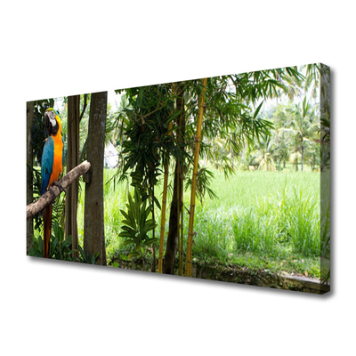 Fotoobraz na płótnie Egzotyczna Papuga w Dżungli