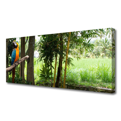 Fotoobraz na płótnie Egzotyczna Papuga w Dżungli