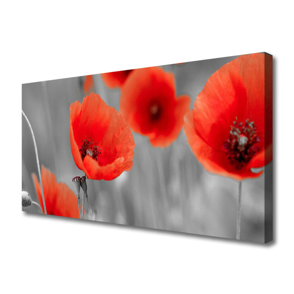 Obraz canvas Czerwone Maki w Polu
