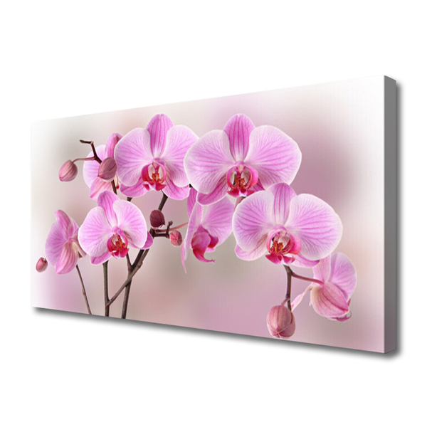 Zdjęcie na płótnie Pastelowy Bukiet Botaniczny