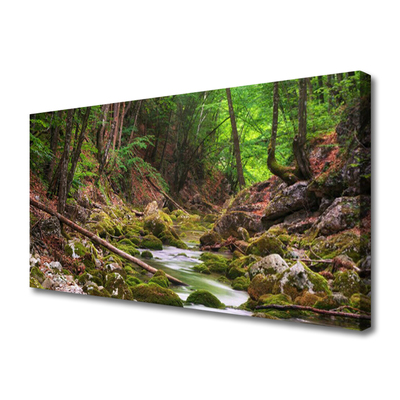 Obraz canvas Głęboka Zieleń Leśnego Mchu