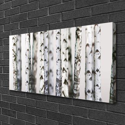 Obraz canvas Gęsta Korona Drzew