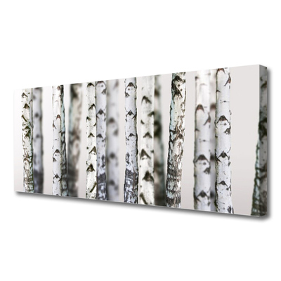 Obraz canvas Gęsta Korona Drzew