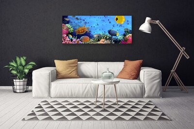 Obraz Canvas Rafa Koralowa Przyroda