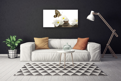 Zdjęcie na płótnie Motyl na Kamiennej Orchidei