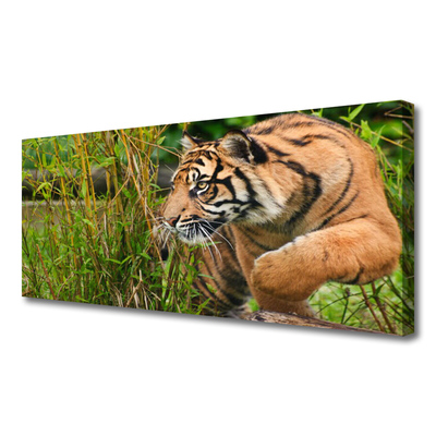 Obraz Canvas Tygrys Zwierzęta