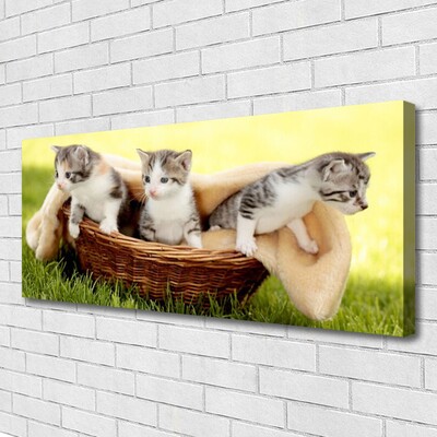 Obraz Canvas Koty Zwierzęta