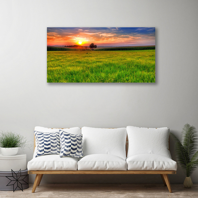 Obraz Canvas Łąka Słońce Przyroda