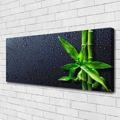 Obraz Canvas Bambus Łodyga Roślina Natura