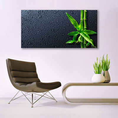 Zdjęcie na płótnie Egzotyczny Pęd Bambusa