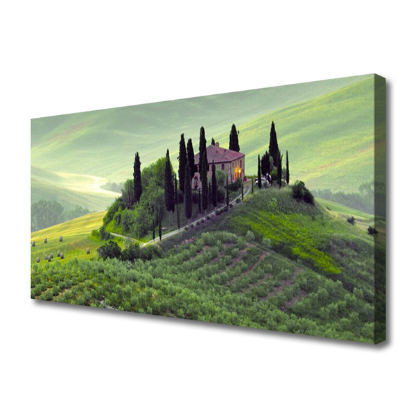 Zdjęcie na płótnie Sielska Łąka z Drzewami