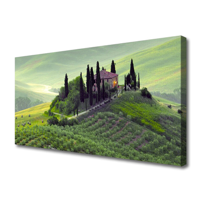 Zdjęcie na płótnie Sielska Łąka z Drzewami