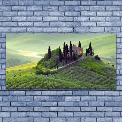 Zdjęcie na płótnie Sielska Łąka z Drzewami