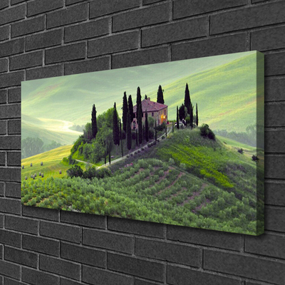 Zdjęcie na płótnie Sielska Łąka z Drzewami