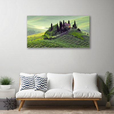 Zdjęcie na płótnie Sielska Łąka z Drzewami