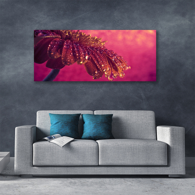 Zdjęcie na płótnie Majestatyczne Drzewo w Polu