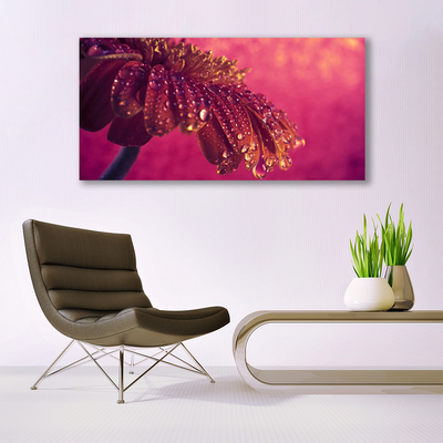 Zdjęcie na płótnie Majestatyczne Drzewo w Polu