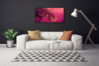 Zdjęcie na płótnie Majestatyczne Drzewo w Polu