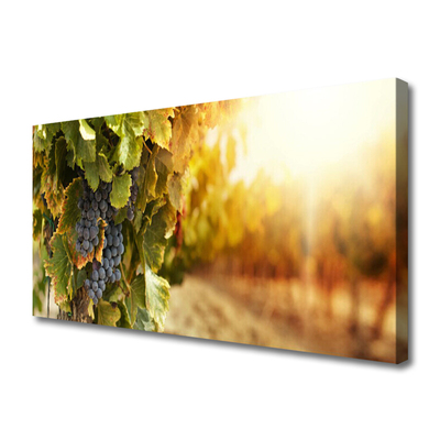 Obraz drukowany na płótnie Winna Winorośl w Detalu