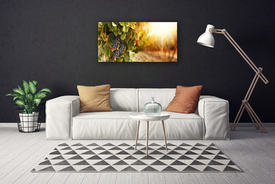 Obraz drukowany na płótnie Winna Winorośl w Detalu