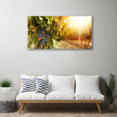 Obraz drukowany na płótnie Winna Winorośl w Detalu