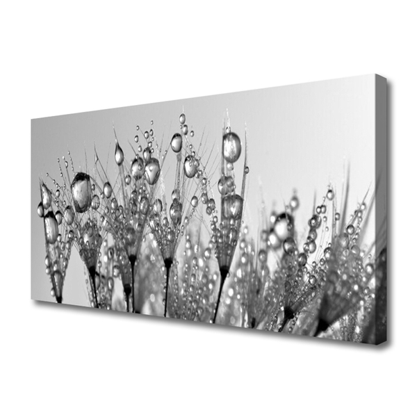 Obraz canvas na ścianę Botaniczna Forma Abstrakcyjna