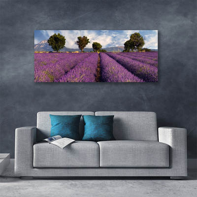 Zdjęcie na płótnie Sielska Polana z Drzewami