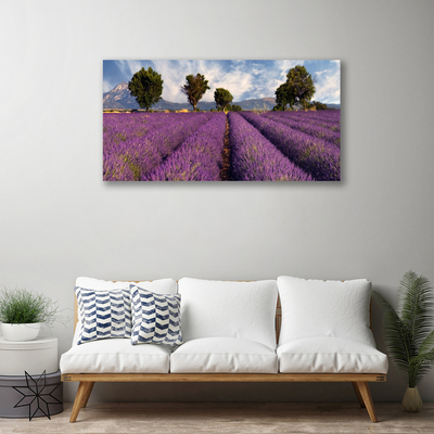 Zdjęcie na płótnie Sielska Polana z Drzewami